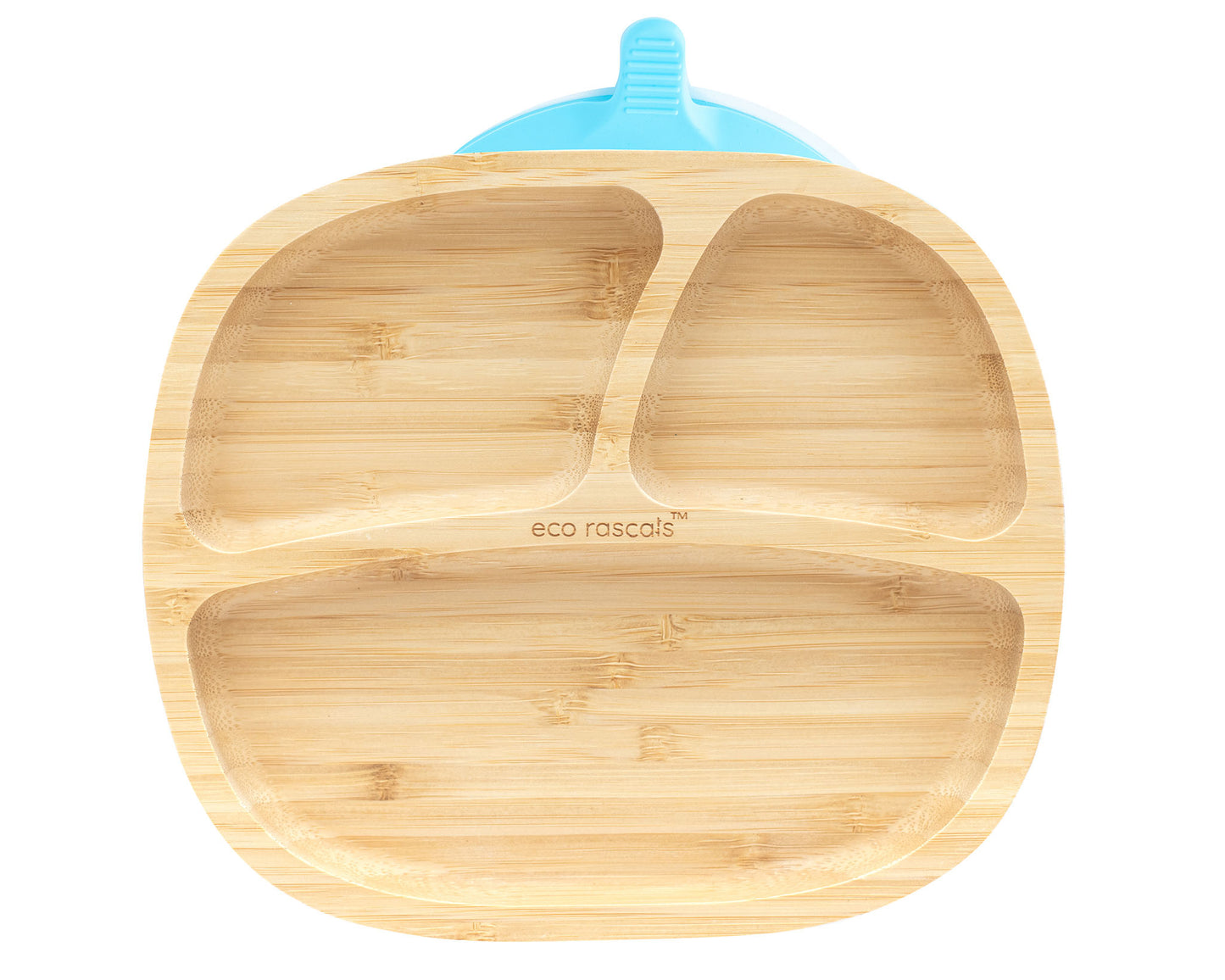 Bamboo Suction and Section Toddler Plate in Blue
