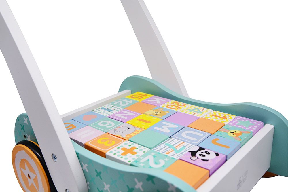 Baby Walker with Blocks